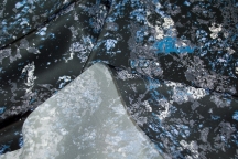 BALENCIAGA! Плащевая ткань. Артикул 88338