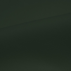 Искусственная кожа DOMUS Green